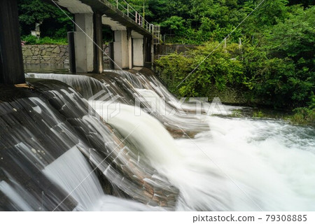 被萬能池的雨流湧淹沒的螢海公園內的河流(香川縣中田區萬能町) 被萬能池的雨流湧淹沒的螢海公園內的河流(香川縣中田區萬能町) 79308885