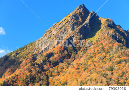 [Ehime Prefecture] Autumn leaves of Mt. Ishizuchi under clear skies 79308938
