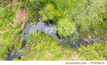 Forest river with dead tree log lying over Forest river with dead tree log lying over 79309630