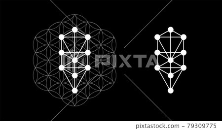 Kabbalah vector symbol isolated. Sacred geometry and tree of sefirot illustration Kabbalah vector symbol isolated. Sacred geometry and tree of sefirot illustration 79309775