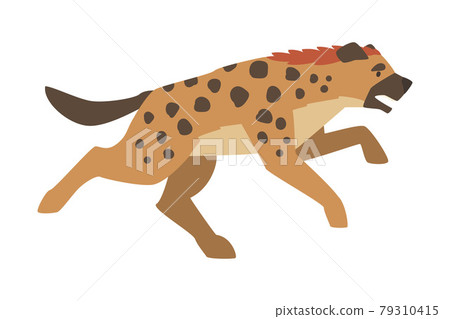 Hyena as Carnivore Mammal with Spotted Coat and Rounded Ears Running Vector Illustration Hyena as Carnivore Mammal with Spotted Coat and Rounded Ears Running Vector Illustration 79310415