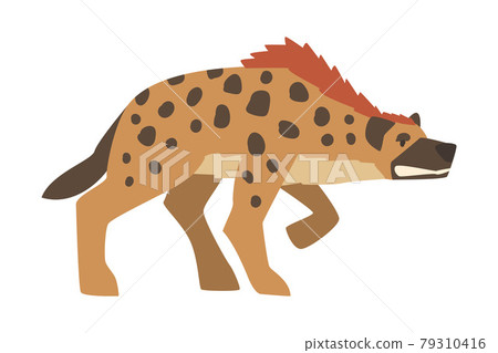 Hyena as Carnivore Mammal with Spotted Coat and Rounded Ears Attacking Vector Illustration Hyena as Carnivore Mammal with Spotted Coat and Rounded Ears Attacking Vector Illustration 79310416