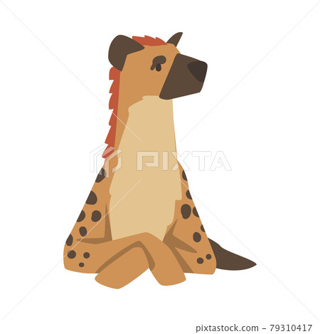 Hyena as Carnivore Mammal with Spotted Coat and Rounded Ears Sitting Vector Illustration Hyena as Carnivore Mammal with Spotted Coat and Rounded Ears Sitting Vector Illustration 79310417