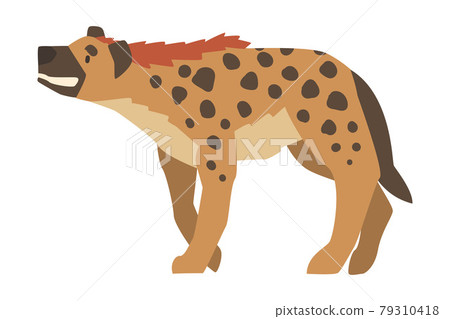 Hyena as Carnivore Mammal with Spotted Coat and Rounded Ears Walking and Earning Vector Illustration Hyena as Carnivore Mammal with Spotted Coat and Rounded Ears Walking and Earning Vector Illustration 79310418