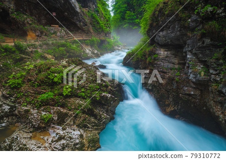 Stunning cascades in the Vintgar gorge after rain, Slovenia Stunning cascades in the Vintgar gorge after rain, Slovenia 79310772