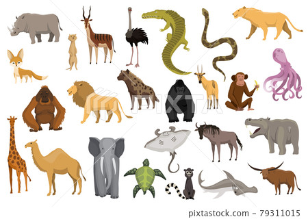 Collection of cute vector animals. Hand drawn animals which are common in Africa. Icon set isolated on a white background 79311015