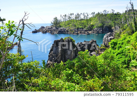 Michinoku Shiokaze Trail Sanriku Fukko National Park Karakuwa Peninsula Exploration Trail Overlooking the half-building from the giant pot 79311595