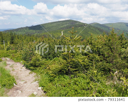 Route at Silesian Beskids Mountains range landscapes in Poland Route at Silesian Beskids Mountains range landscapes in Poland 79311641