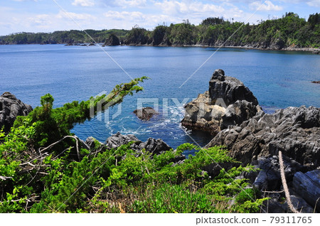 陸奧潮風步道 三陸復光國立公園 唐松半島 探索步道 笹浜半藏漁港 79311765