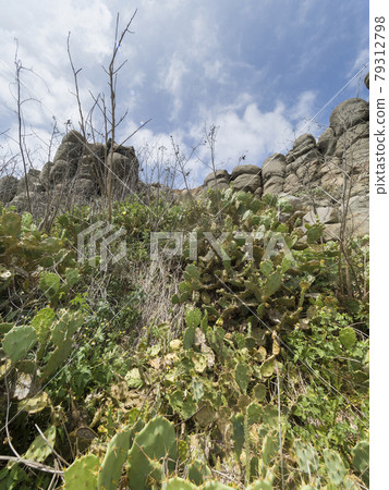 柱狀玄武岩/琵琶湖/ Tourai，台灣/柱狀玄武岩，台灣胡景 79312798