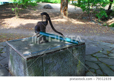暴露的納米里公園 暴露的納米里公園 79312839