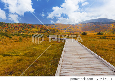 Jododaira in autumn colors 79313004