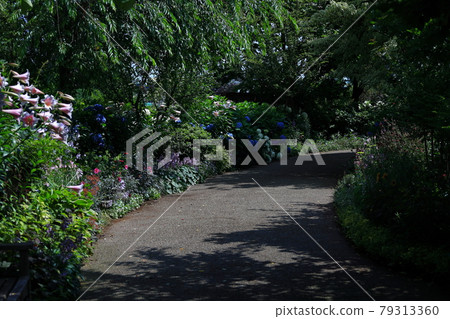 Mitsuke English Garden 79313360