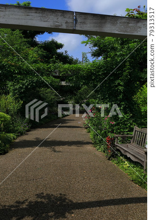 Mitsuke英國花園 Mitsuke英國花園 79313517