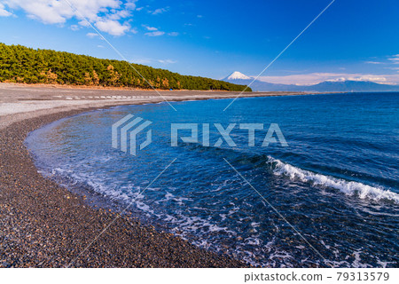 (靜岡縣)美穗的松原和富士山 (靜岡縣)美穗的松原和富士山 79313579