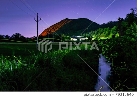 Firefly in the waterway 02 Before focus 79313640