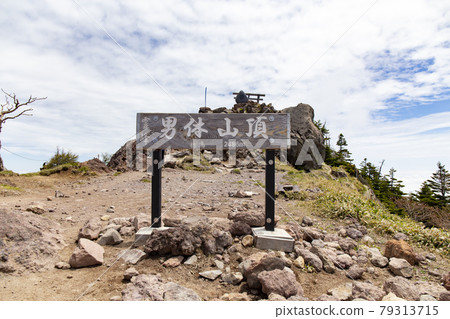 Mt. Mt. 79313715