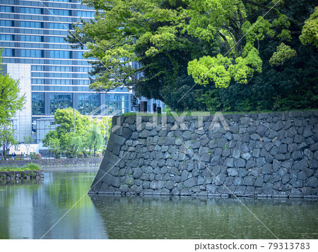 Otemachi office buildings seen from Takebashi in the Imperial Palace East Garden Otemachi office buildings seen from Takebashi in the Imperial Palace East Garden 79313783