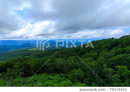 秋田縣廣闊的森林山脈 秋田縣廣闊的森林山脈 79314432