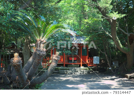 Taga Shrine grounds 79314447