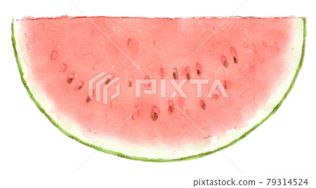 夏季水果:西瓜的水彩插圖 夏季水果:西瓜的水彩插圖 79314524
