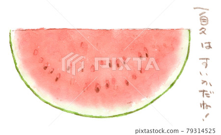 夏季水果:西瓜的水彩插圖 夏季水果:西瓜的水彩插圖 79314525