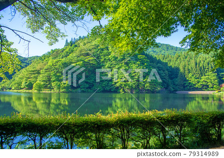 從臼井湖坂本水壩長廊,初夏的周邊景色。 從臼井湖坂本水壩長廊,初夏的周邊景色。 79314989