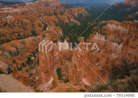 Zion National Park includes mountains, rivers, canyons, and natural arches. Zion National Park includes mountains, rivers, canyons, and natural arches. 79314990