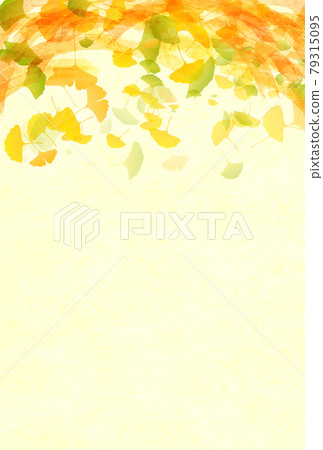 Autumn leaves maple ginkgo background 79315095