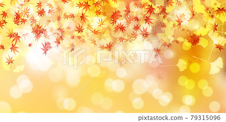 Autumn leaves maple ginkgo background 79315096