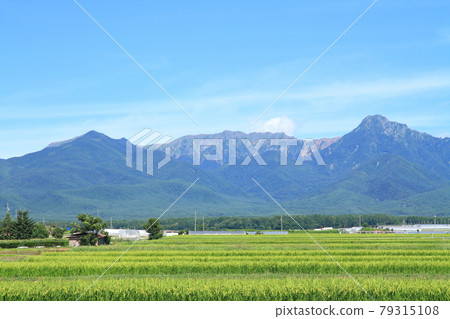 夏天Yatsugatake山脈從山腳下 夏天Yatsugatake山脈從山腳下 79315108