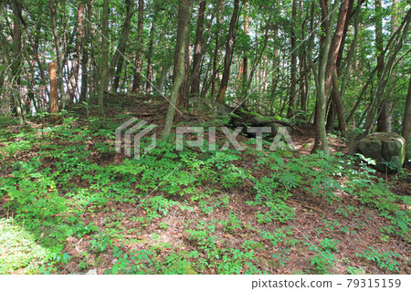 Jiiga Tsuka Kofun, Azumino City, Nagano Prefecture Jiiga Tsuka Kofun, Azumino City, Nagano Prefecture 79315159