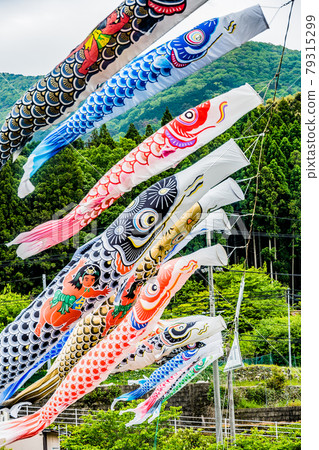 Carp streamer Carp streamer 79315299
