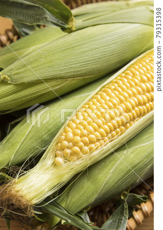 Image of taking corn 79315398