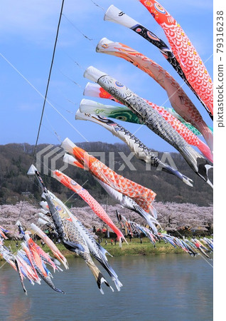 北上天勝地鯉魚旗 79316238