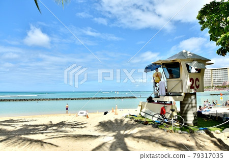 Holidays in Hawaii 79317035