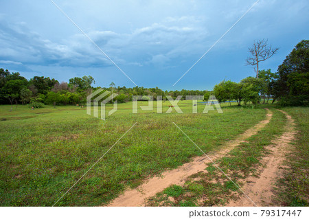 Asia, Thailand, Accidents and Disasters, Agricultural Field, Agriculture Asia, Thailand, Accidents and Disasters, Agricultural Field, Agriculture 79317447