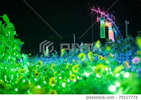 Midori no Mori Summer Illuminations 2020 宮城縣仙台市仙台農業園藝中心 79317778