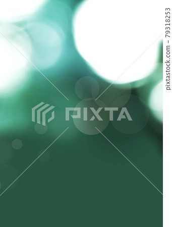79318253