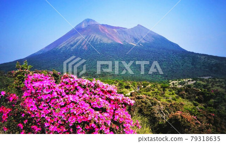 春天 高千穗山（鹿兒島縣） 79318635