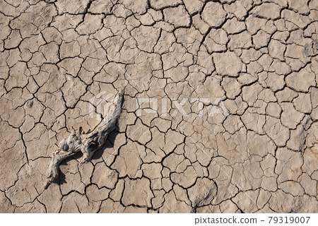 ground crack bacground crack background and texture.kground and texture. ground crack bacground crack background and texture.kground and texture. 79319007