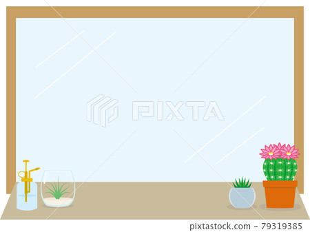 Mirror, window interior green cactus, airplants and spray bottle Mirror, window interior green cactus, airplants and spray bottle 79319385