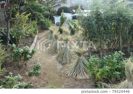 Rice straw fence Rice straw fence 79320446