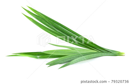 Pandan leaves isolated on white background 79320736