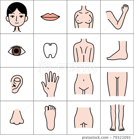 Female body parts illustration material Female body parts illustration material 79321091