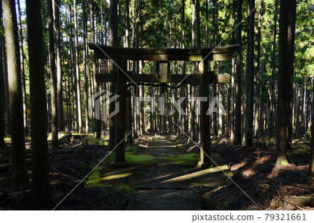 A hidden shrine in Keihoku, a walk in autumn 79321661