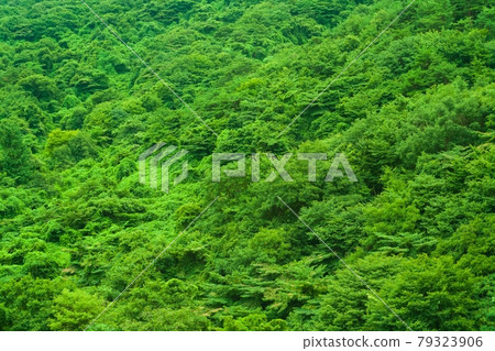 Imsil-gun, Jeollabuk-do 79323906