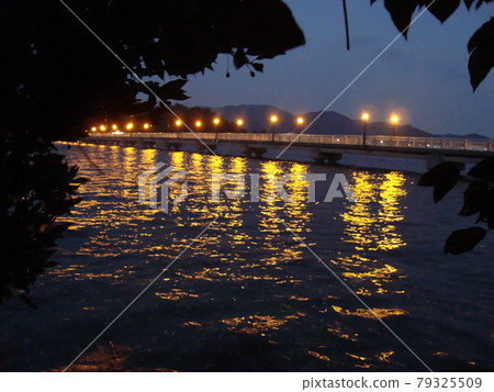 夜晚的竹島海 夜晚的竹島海 79325509