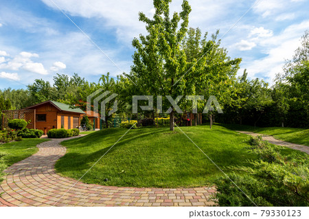 Scenic view yard garden trees and paved stone path road for walk against beautiful blue sky. Landscape design green lawn turf hills and plants irrigated with smart autonomous sprayers at bright day 79330123