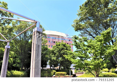 河內長野市政府 79331205